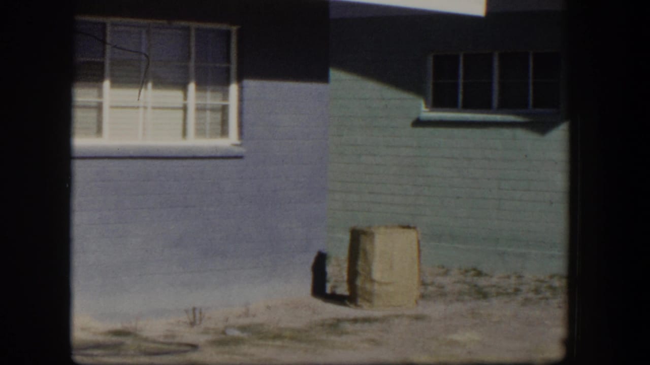 Blue brick house wall with white-trimmed window, blinds, green siding, and a cardboard box on bare ground.