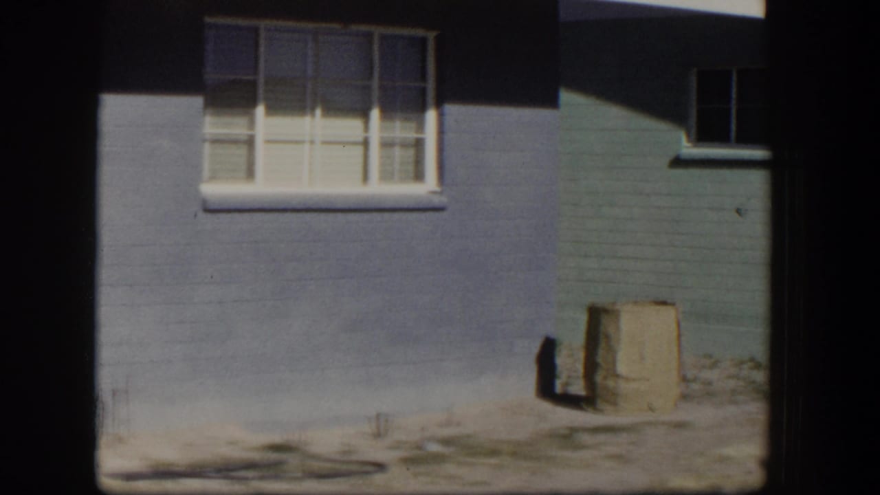 Blue wall and green siding with white-trimmed windows, closed blinds, cardboard box, and bare yard.
