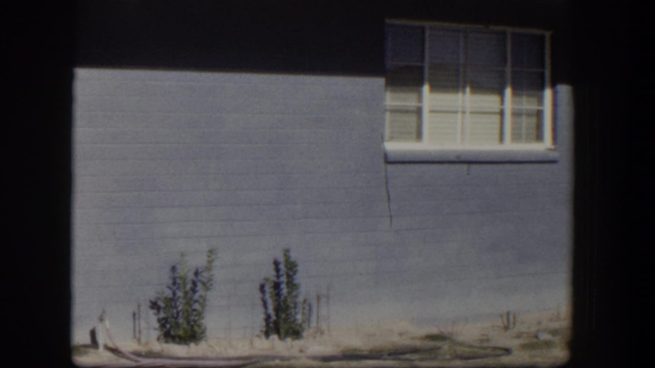 Blue-gray house wall with a white-trimmed window, sandy yard and small shrubs.