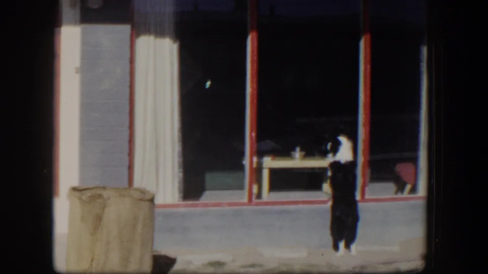 Small dog stands beneath the red-trimmed window of a Nevada home, peering toward the room inside.