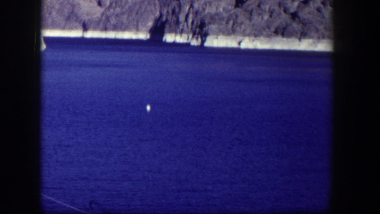 Small white buoy on blue water with a rocky shore and tree branches in the distance.