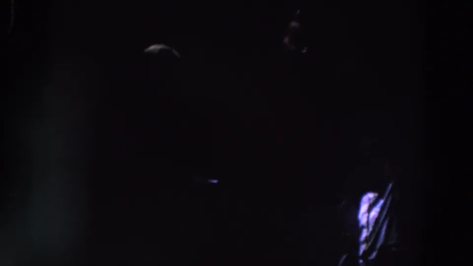 Low-light 8mm frame from Ireland with a bright blue-purple flare at lower right and faint shapes in darkness.