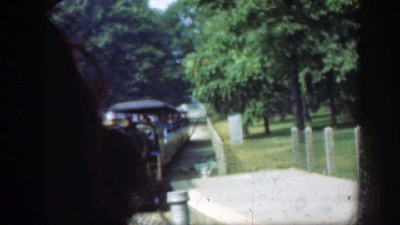 Small zoo train with passengers beside a tree-lined path.