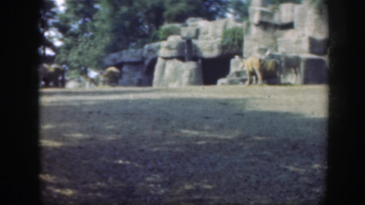 Elephant near a stone structure inside a shaded outdoor enclosure.
