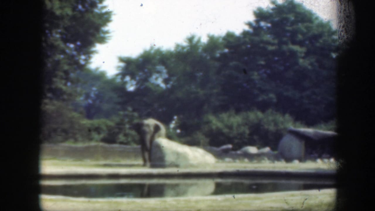 1948 Washington DC zoo footage showing a distant elephant beside rocks and a pond, framed by dark rounded film edges.