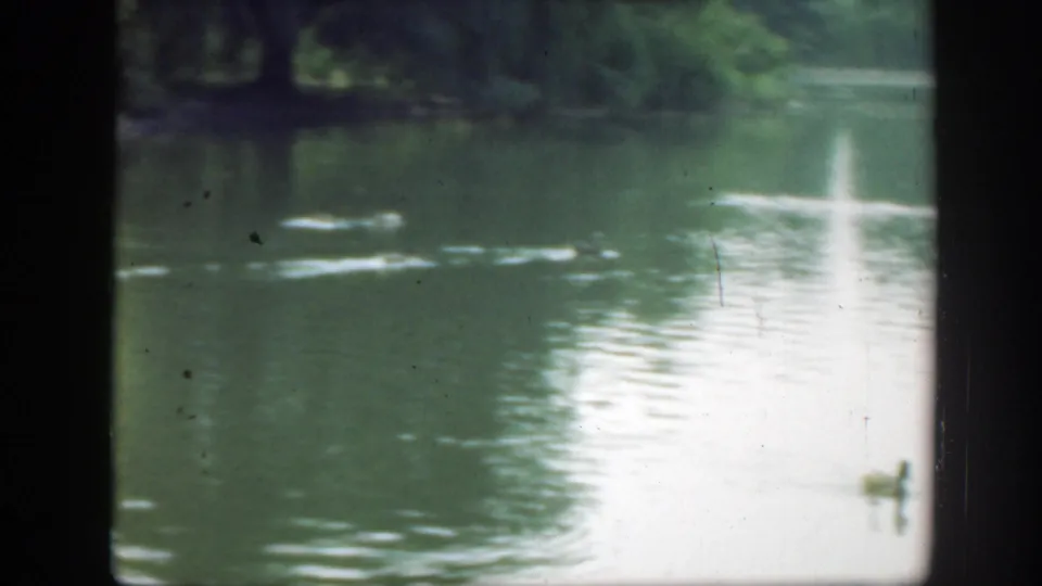 The 1948 Washington DC home-movie frame shows distant ducks on muted green water, pale reflections, and a shadowed tree-lined edge across the far bank.