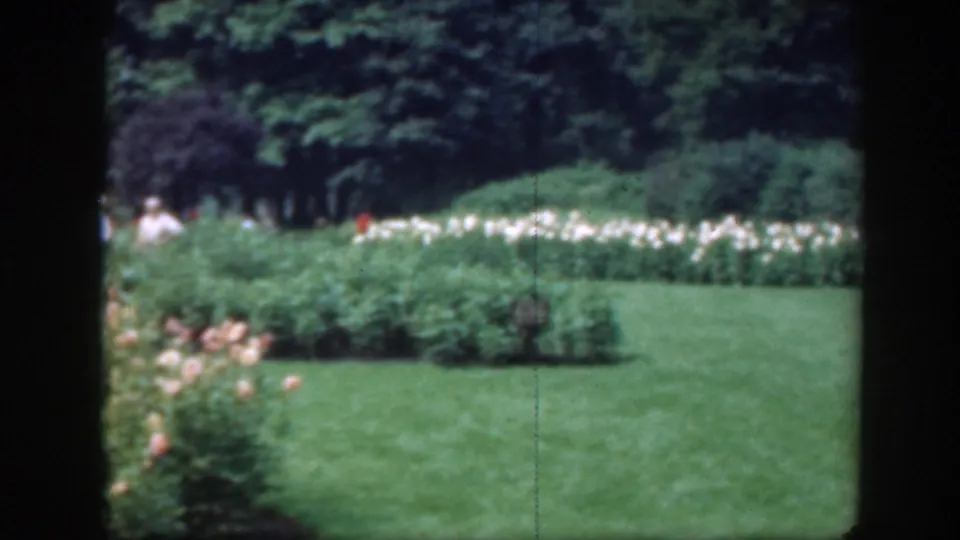 Late-1940s 8mm frame of a Washington DC garden, with rose plantings, bright lawn, trees, and small distant visitors.