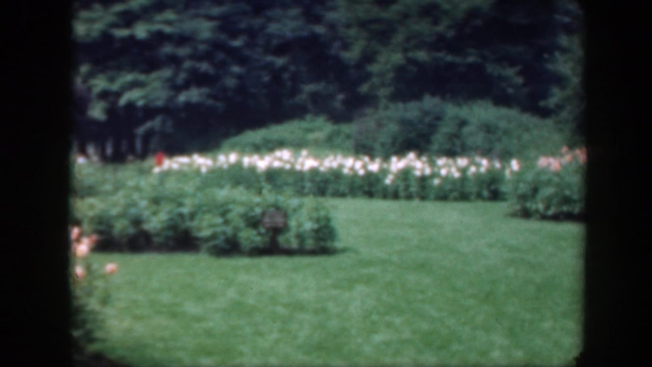 1948 Washington, DC home-movie frame showing a green lawn bordered by pink and white flowers under trees.