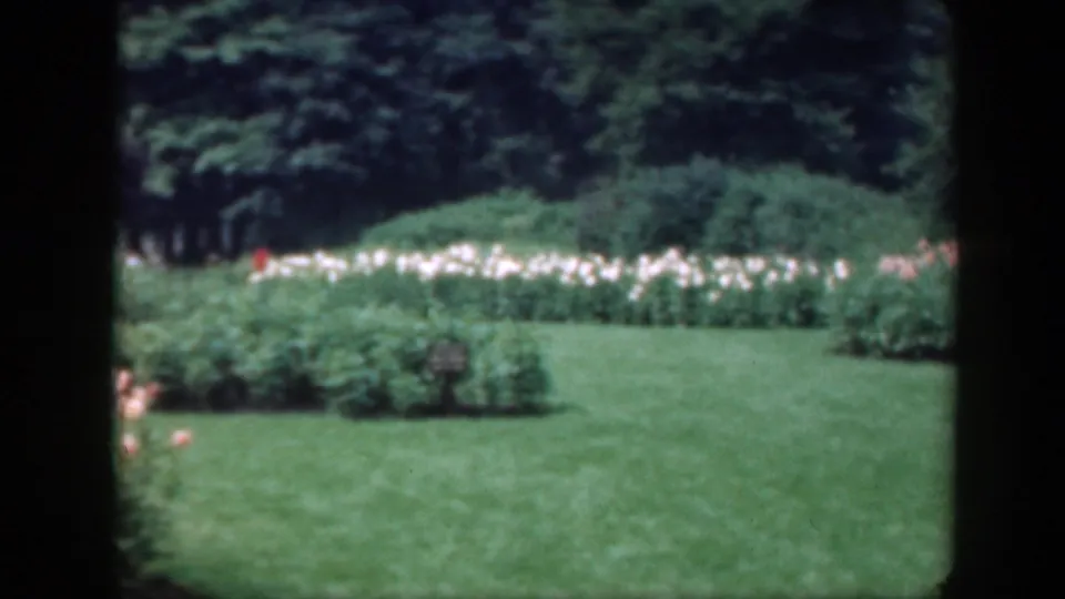 1948 Washington, DC home-movie frame showing a green lawn bordered by pink and white flowers under trees.