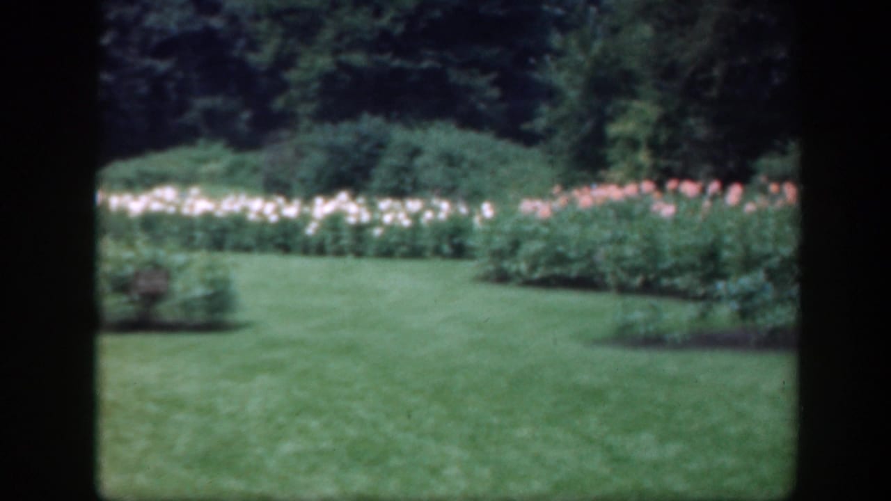 Wide garden view with green lawn, flower rows, shrubs, and dark frame edge.