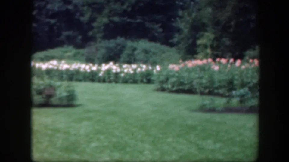 1948 Washington, DC garden view with manicured grass, curved flower borders, shrubs, and trees in soft 8mm color.