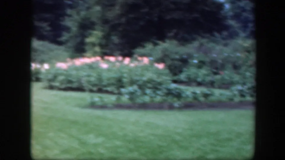 1948 Washington, DC home-movie frame showing a soft, slightly blurred sweep across lawn, flowers, shrubs, and trees.