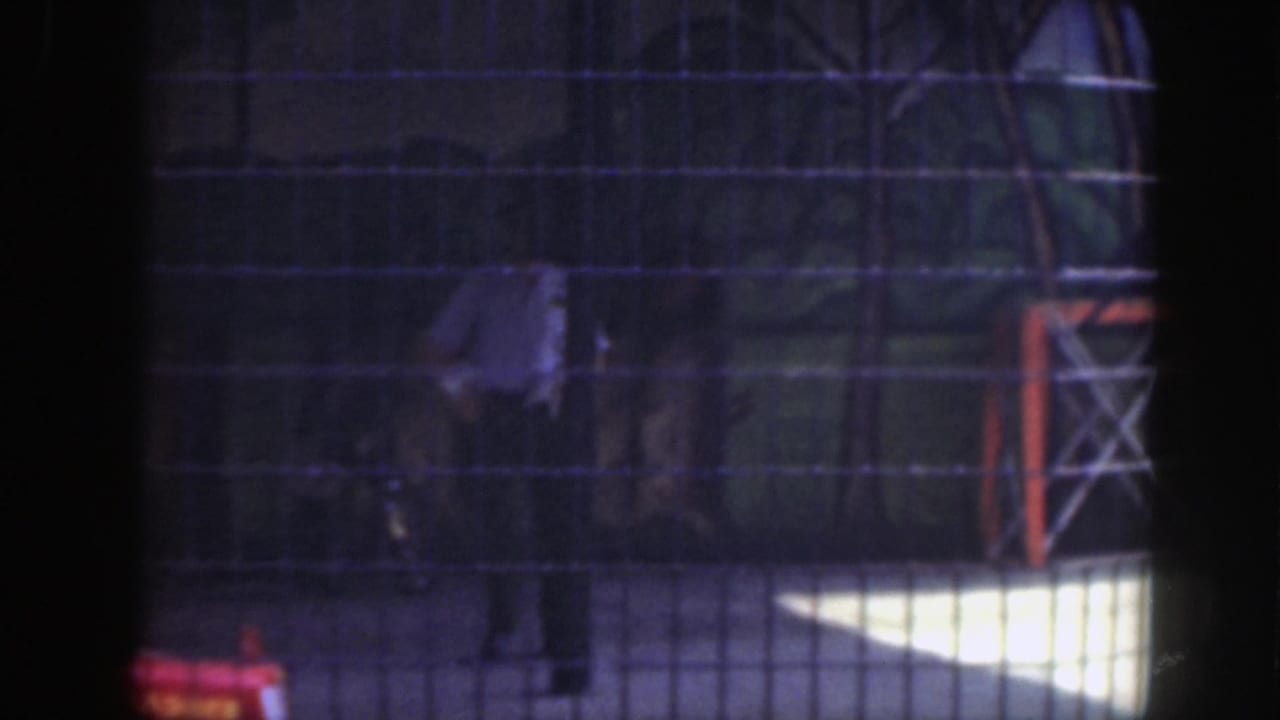 Wire mesh fence with play equipment and a red object in a shaded outdoor area.