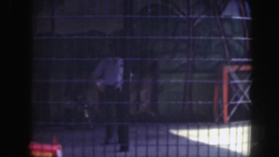 The fenced Washington, DC play area is seen through 8mm film grain, with play equipment and a red object partly visible.