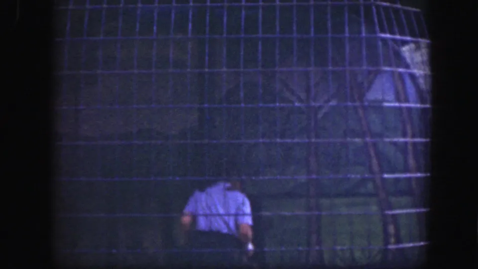 The closing frame shows a wire-mesh zoo enclosure in Washington DC, with a light-shirted person visible near the lower center.
