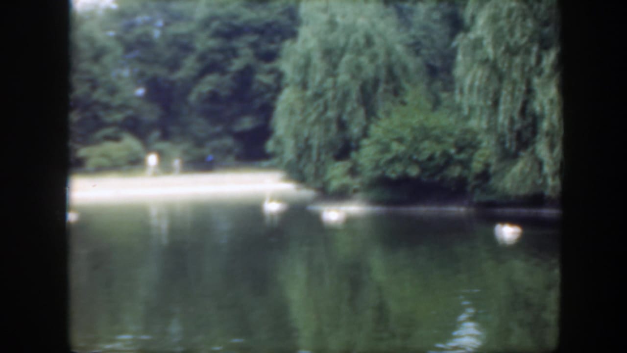 1948 Washington DC 8mm frame showing swans on a lake near a bright shoreline opening surrounded by dense park trees.