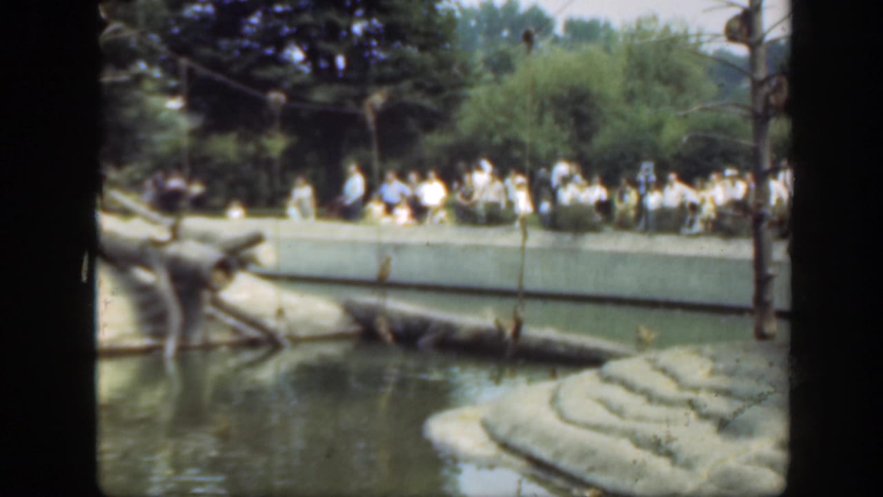 Visitors in light clothing watch monkeys across a concrete zoo enclosure in Washington DC, with trees and water visible.