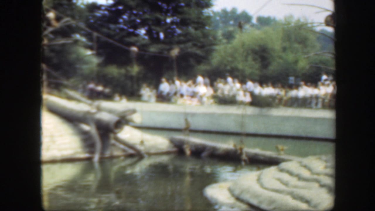 Late-1940s home-movie view of visitors watching monkeys in a Washington DC zoo enclosure with water, logs, and ledges.