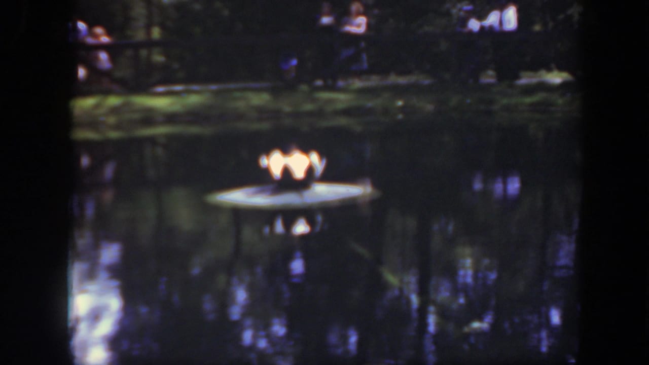 1948 Washington, DC zoo pond view with a glowing decorative lamp on a small platform and visitors visible across the water.