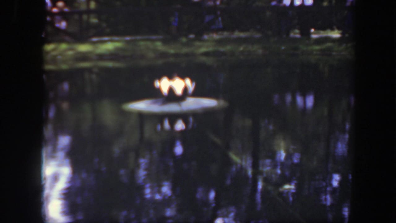 1948 Washington, DC home-movie frame focused on a glowing lamp platform in a zoo pond, with shaded trees and visitors beyond.