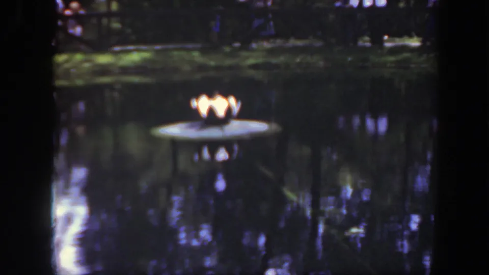 1948 Washington, DC home-movie frame focused on a glowing lamp platform in a zoo pond, with shaded trees and visitors beyond.