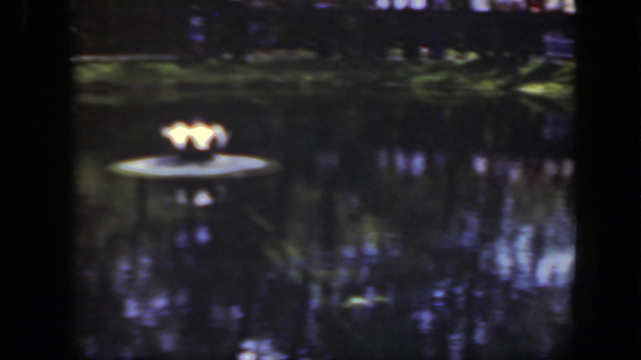 1948 Washington, DC zoo pond view centered on a glowing lamp feature, with dark water, tree reflections, and faint visitors beyond.