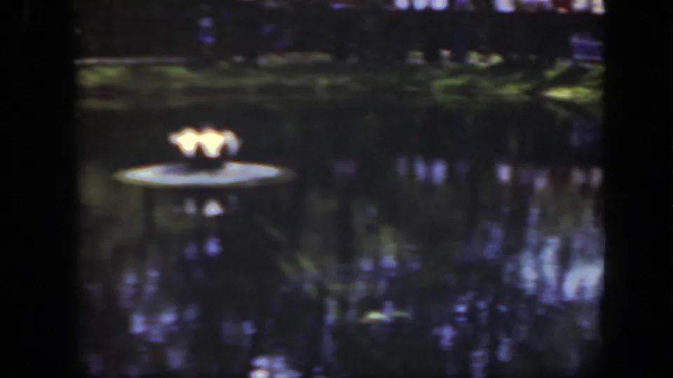 1948 Washington, DC zoo pond view centered on a glowing lamp feature, with dark water, tree reflections, and faint visitors beyond.