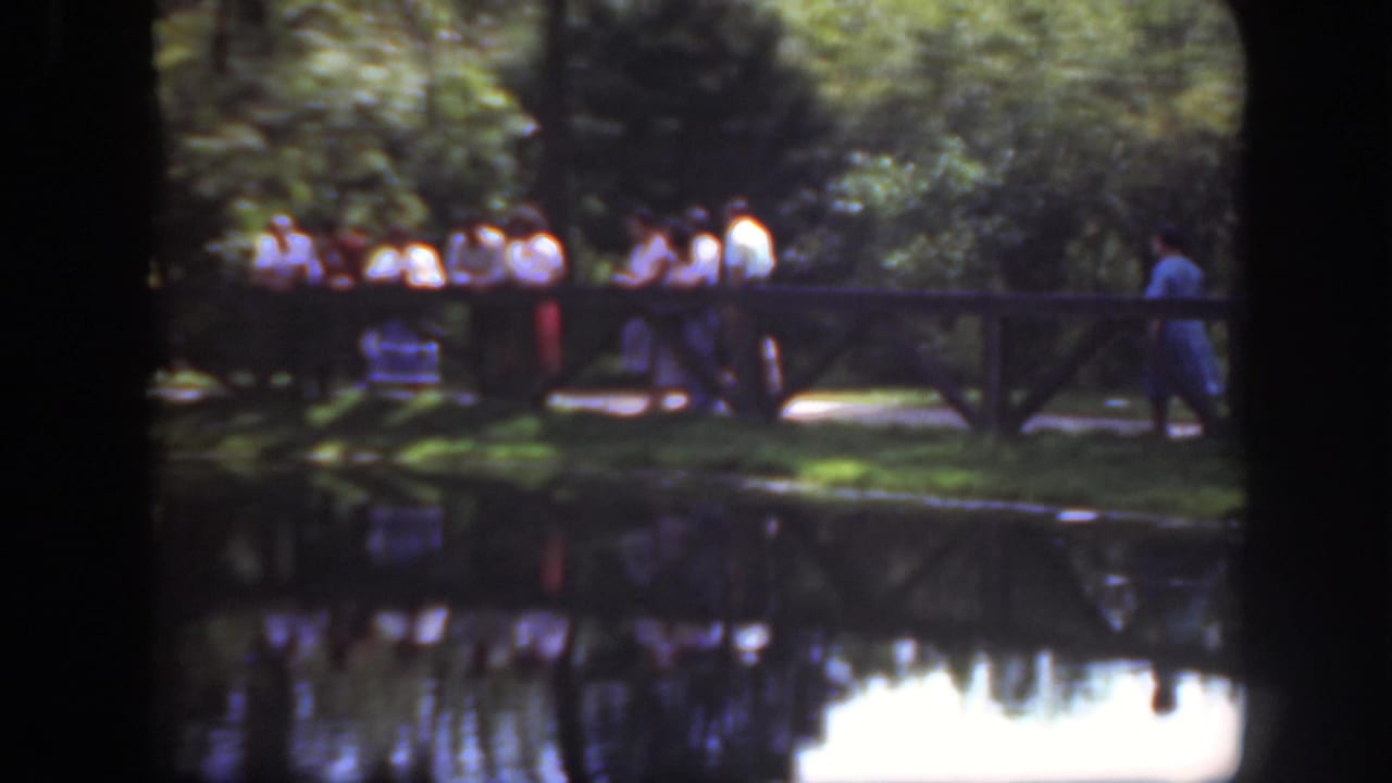 A larger group stands near the railing beside a pond in Washington, DC, with bright water reflections and dense greenery visible.
