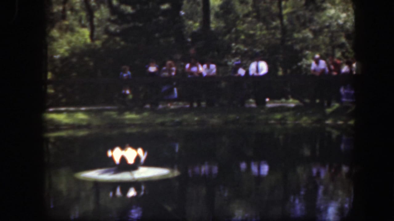 A yellow object floats on the pond while distant visitors stand behind the wooden fence in the shaded Washington, DC park scene.