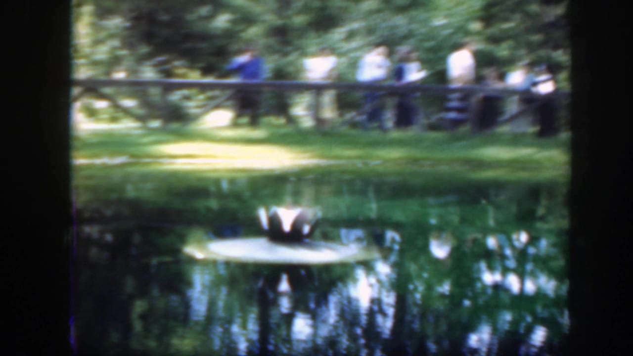 Adults stand behind a wooden bridge railing beside a reflective pond with a lily-pad fountain.