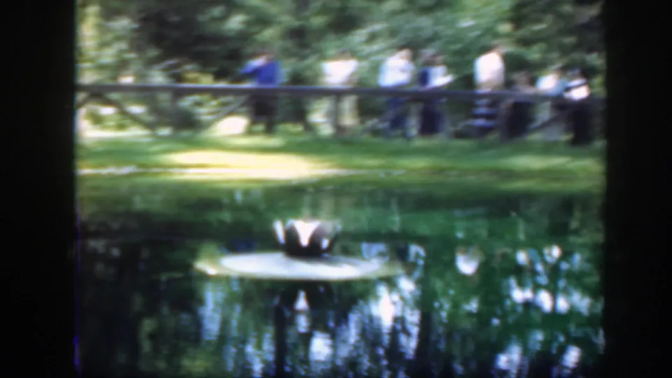 1948 Washington, DC home-movie frame showing adults near a wooden bridge and reflective pond with a lily-pad fountain feature.