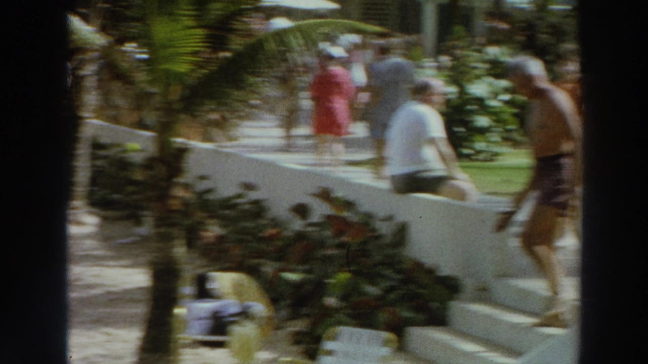 Sunlit resort walkway with palm plants, white walls, and guests walking in casual clothes.