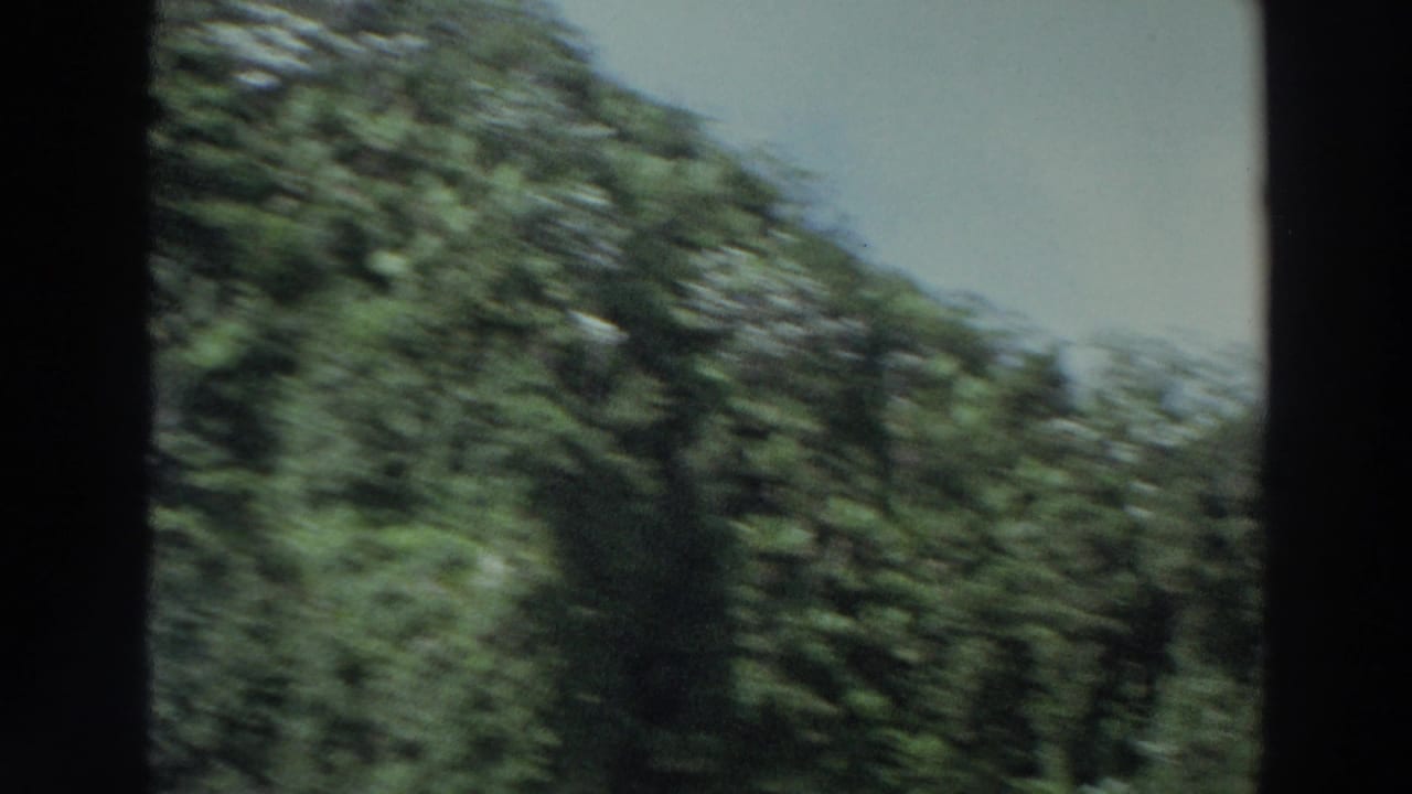 1966 Puerto Rico 8mm frame showing dense green mountainside vegetation and pale sky, softened by travel motion and film grain.
