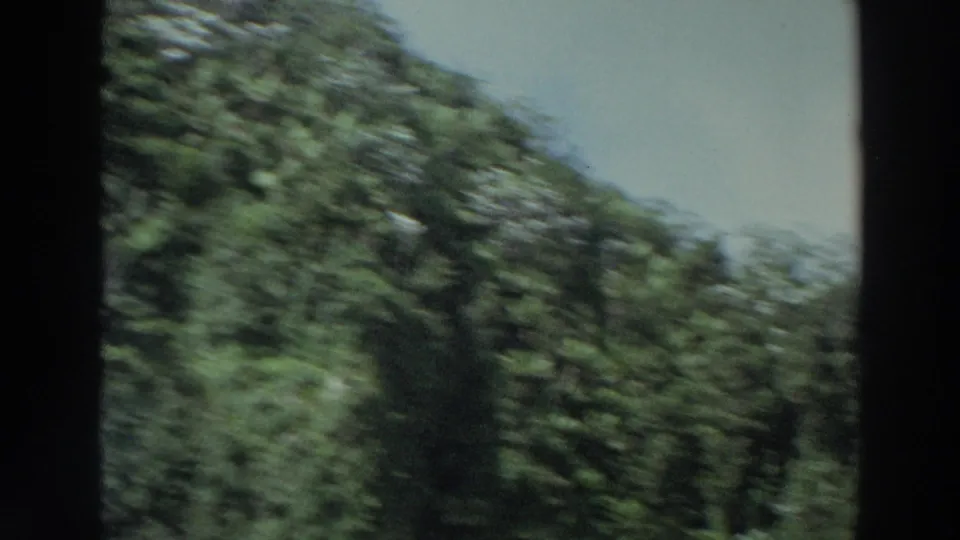 1966 Puerto Rico 8mm frame showing dense green mountainside vegetation and pale sky, softened by travel motion and film grain.