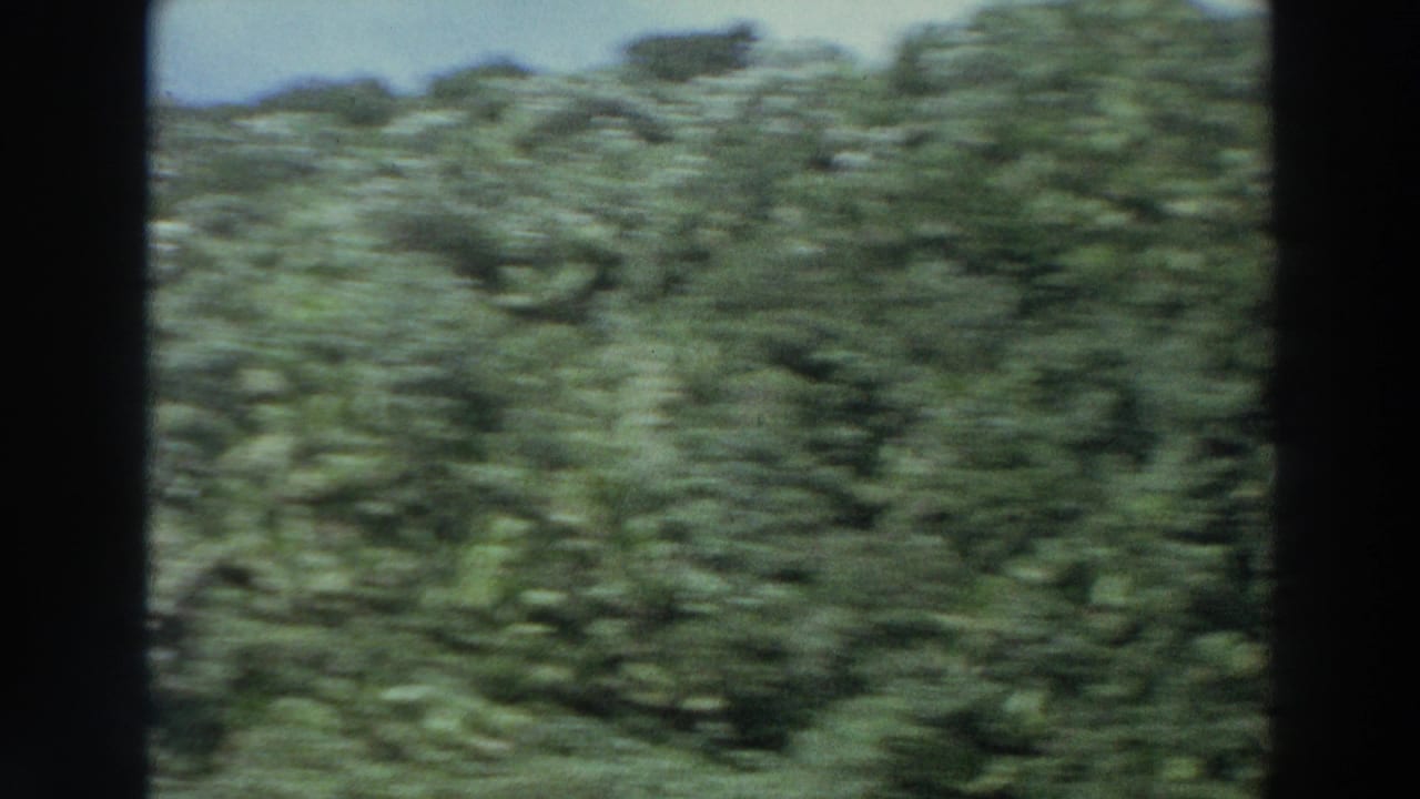 1966 Puerto Rico 8mm frame with a densely vegetated hillside, muted blue sky, and blurred lateral motion from a passing viewpoint.