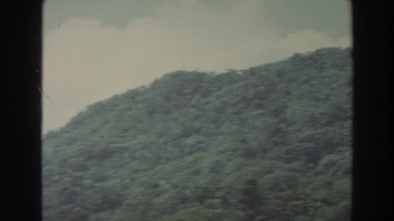 Soft 8mm view of a wooded hillside seen through dark film-frame edges.