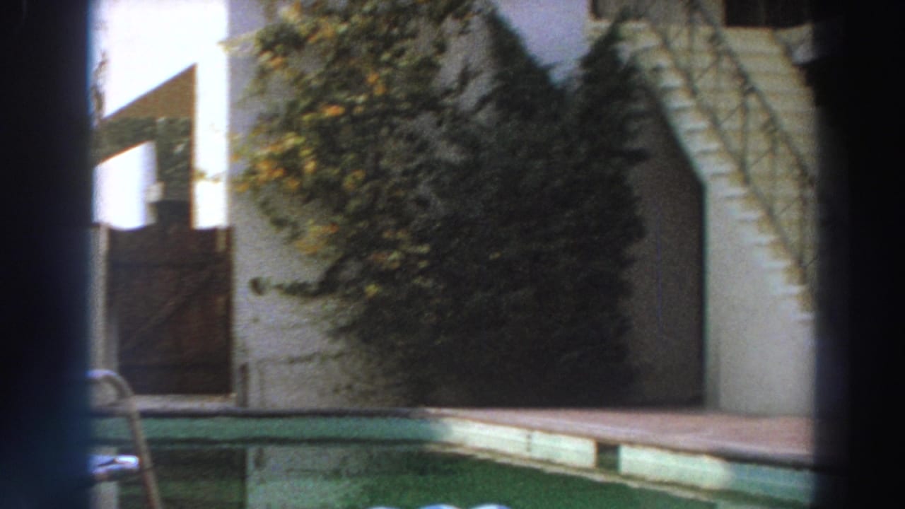 1966 Puerto Rico courtyard view with a small pool edge, wooden gate, stucco walls, and leafy plants.