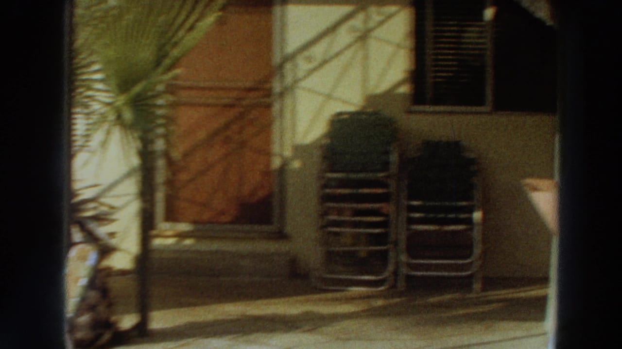 The camera pans across the backyard patio, showing a palm trunk, shaded doorway, stacked lawn chairs, wall shadows, and residential exterior details.
