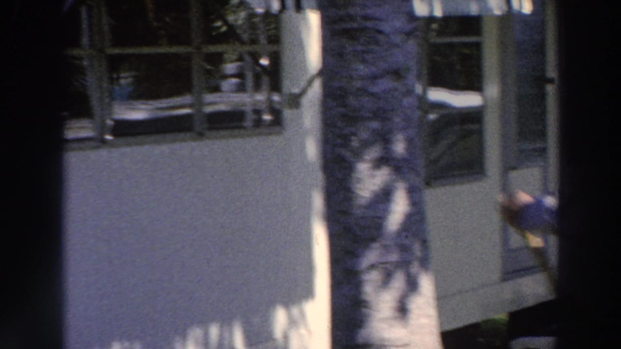 Man mopping near a windowed building partly obscured by palm trunks.
