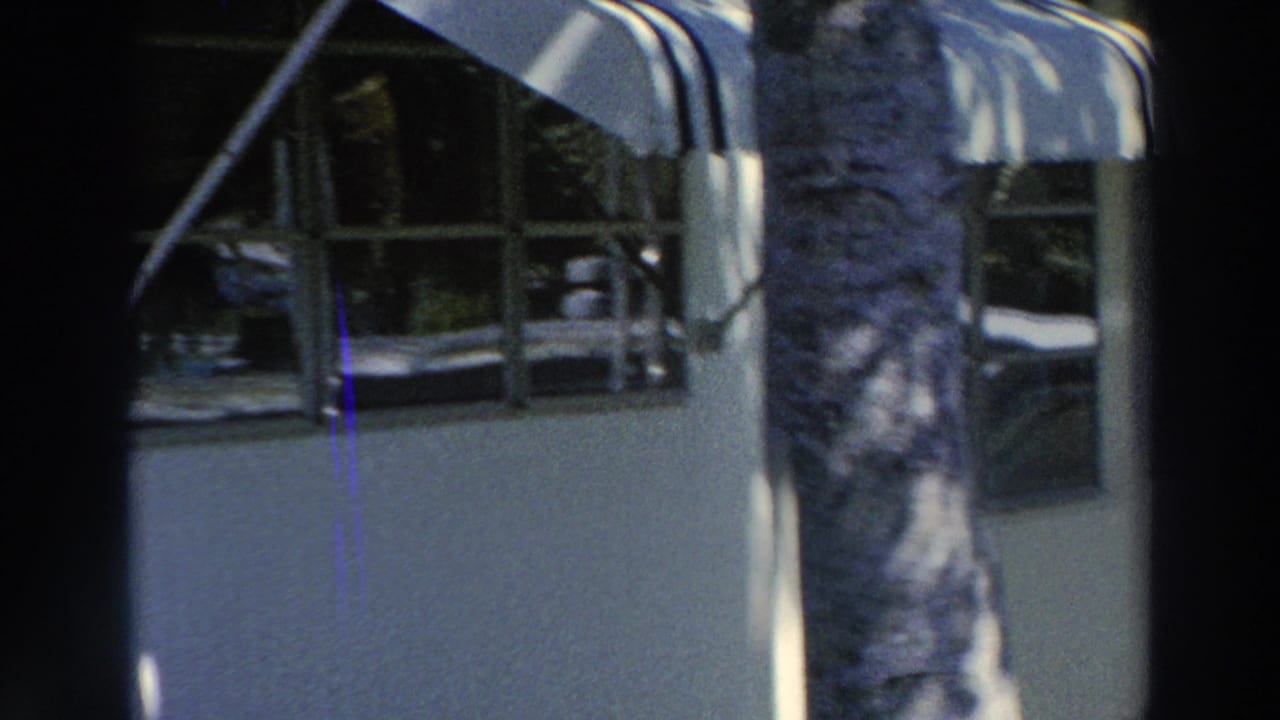 Pale building exterior with windows, palm trunk, and dark vertical obstruction.