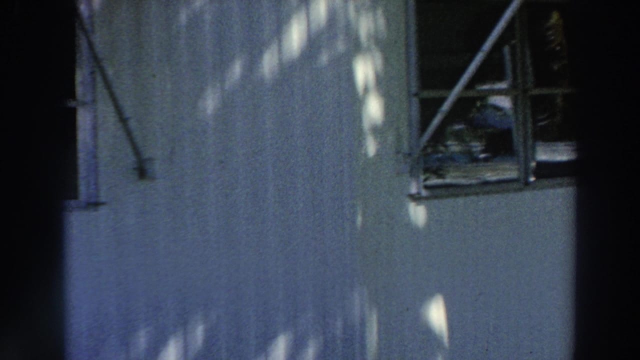Light building wall with upper window, palm shadows, and dark foreground strip.