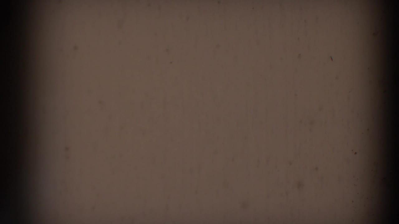 Mostly featureless 8mm frame area with dark gate-like edges, visible grain and no identifiable wildlife detail.