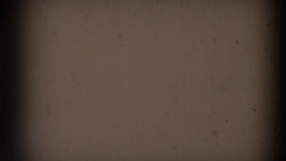 Mostly featureless 8mm frame area with dark gate-like edges, visible grain and no identifiable wildlife detail.