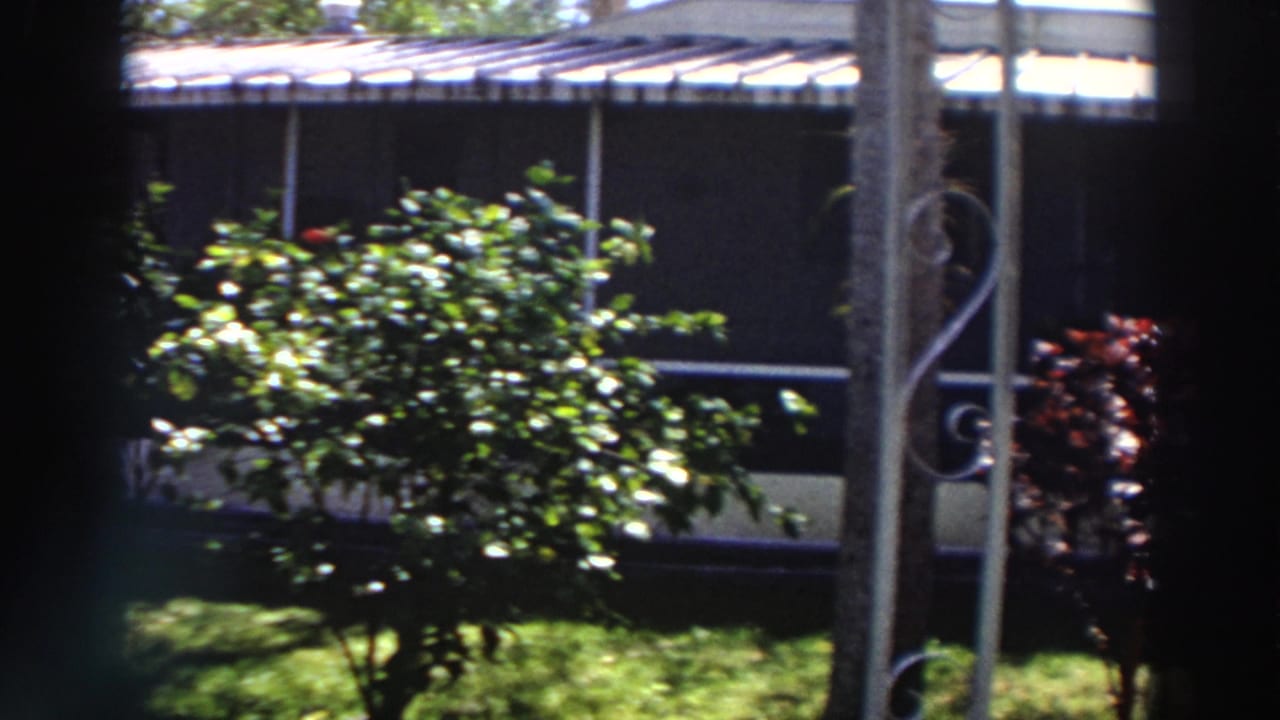 1966 Puerto Rico garden frame with shrubs, green grass, a screened residential exterior, and a decorative metal post at the right edge.