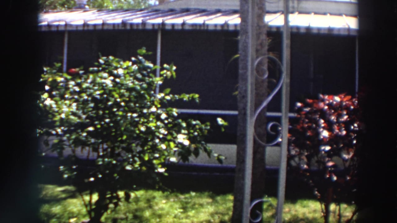 Sunlit yard with shrubs, metal gate detail, and a house exterior partly visible behind dark foreground edges.