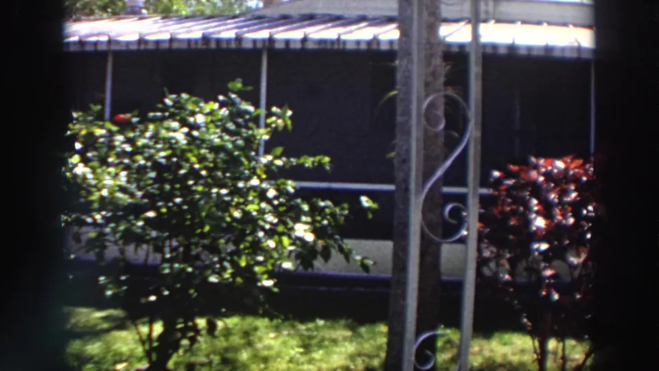 1966 Puerto Rico home-movie frame showing a green yard, leafy shrubs, decorative metalwork, and a shaded house exterior beyond.