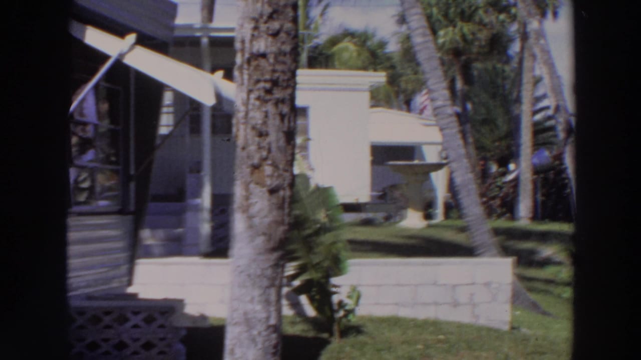 Palm-lined lawn with white low buildings and garden walls in bright sun.