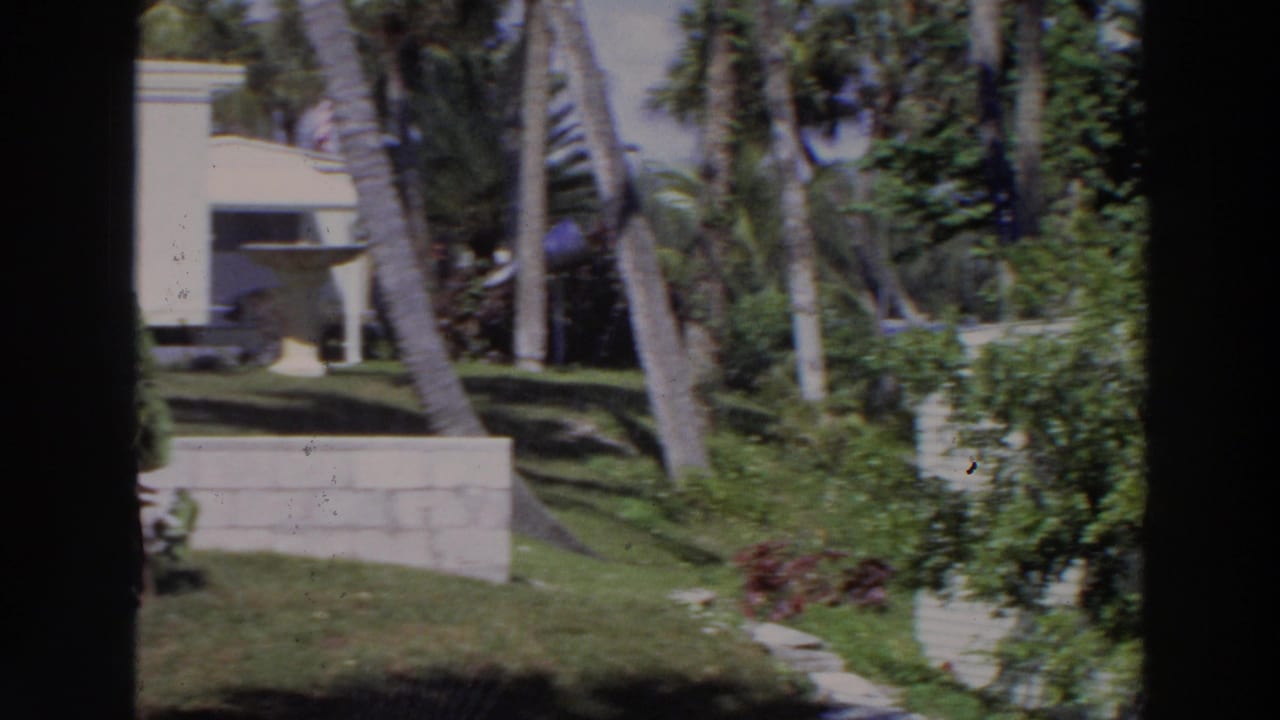 Palm trees, lawn terraces, and white buildings seen through dark frame edges.