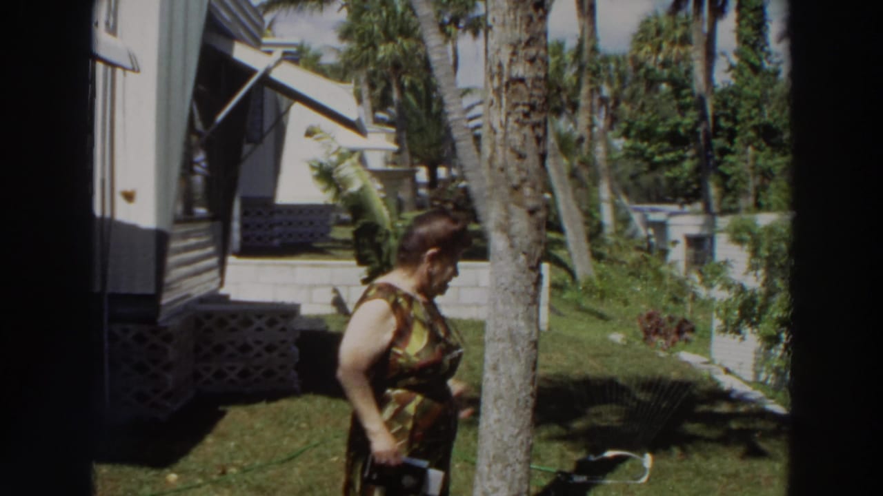 Woman stands near a palm tree in a grassy yard beside a white mobile home.