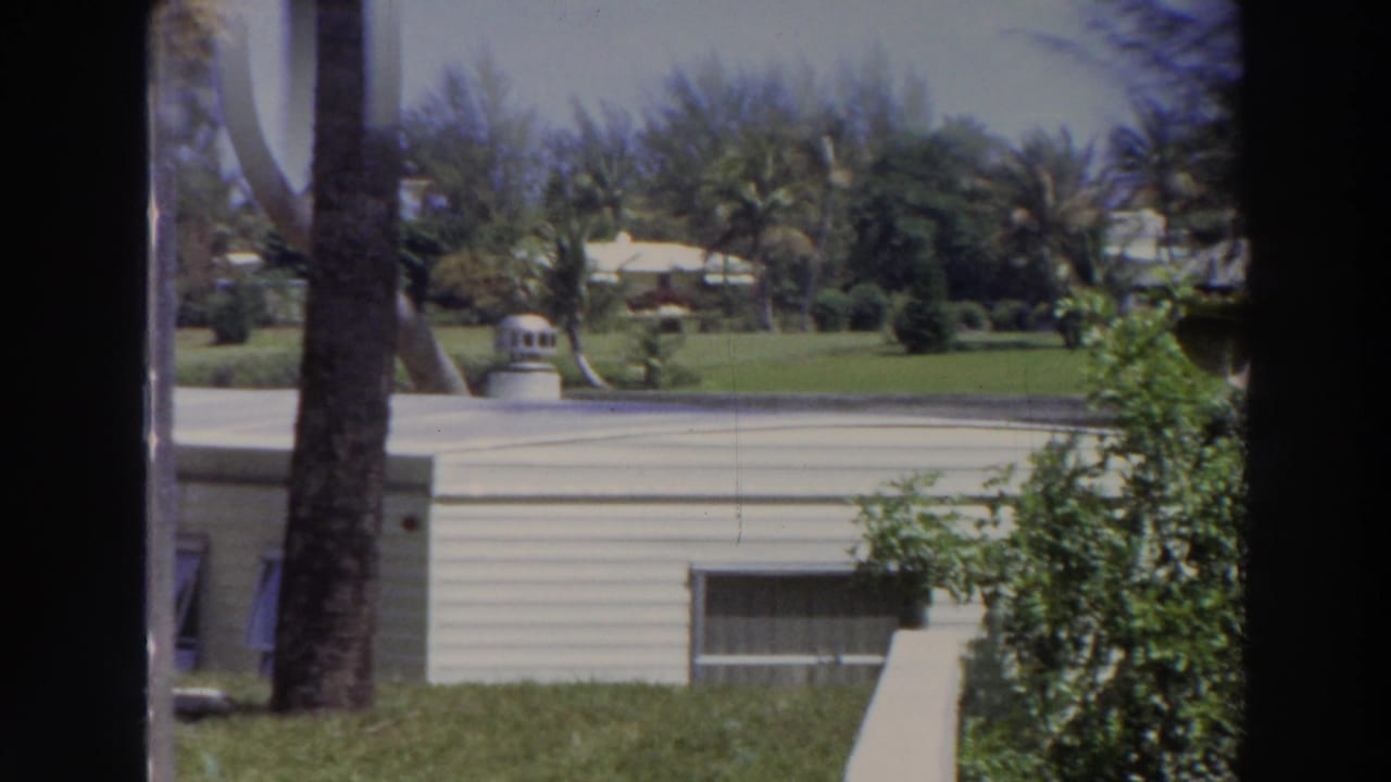 White mobile home beyond a lawn with palms and shrubs.
